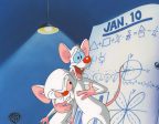 Pinky And The Brain Original Production Cel: Pinky and Brain Fashion