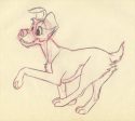 Lady and the Tramp Original Production Drawings For Discount