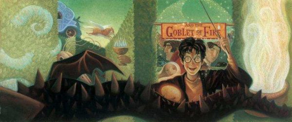 Book 4 Harry Potter And The Goblet Of Fire Online Hot Sale