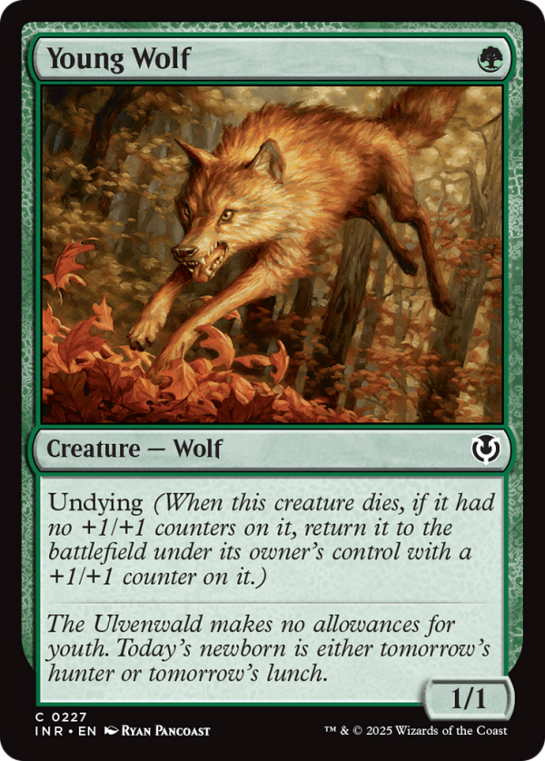 Young Wolf [Innistrad Remastered] Hot on Sale